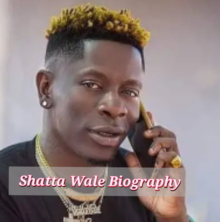 Shatta Wale Biography