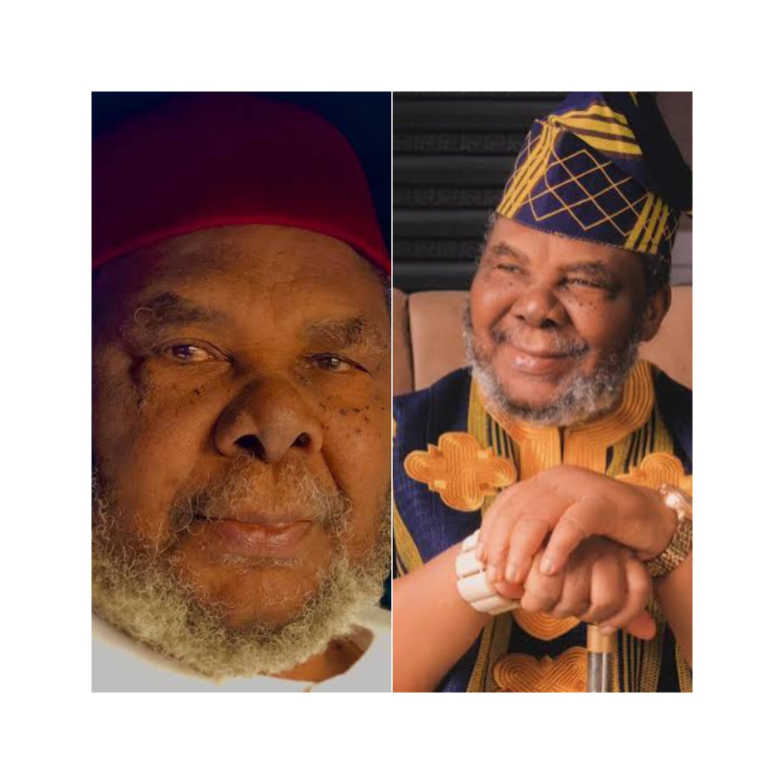 Pete Edochie Biography: Net Worth, Age, Wife, Education, Family, Career and Early Life